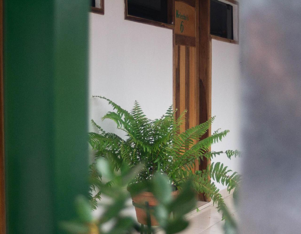 Helecho'S Hostal Encarnacion Exterior photo
