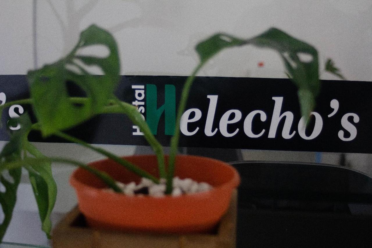 Helecho'S Hostal Encarnacion Exterior photo