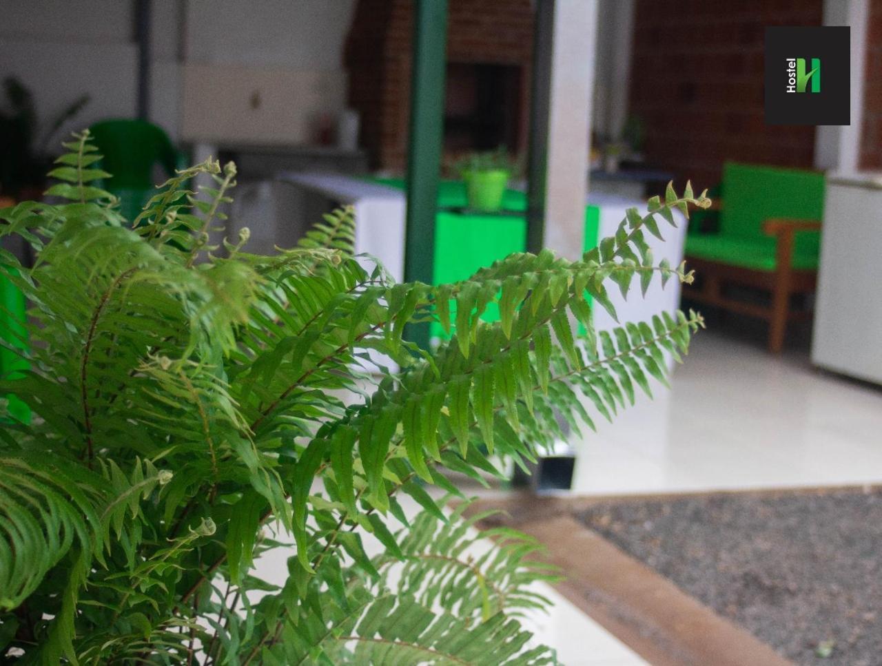 Helecho'S Hostal Encarnacion Exterior photo